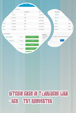 Bitcoin cash block explorer
