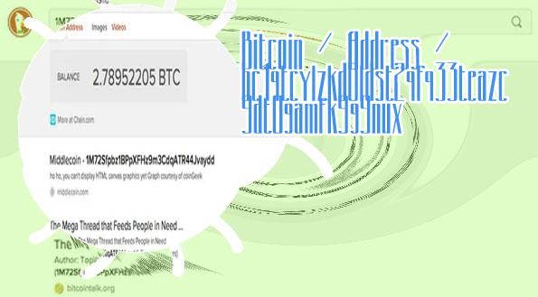 Bitcoin check address balance