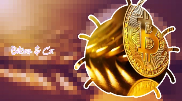 Bitcoin verluste